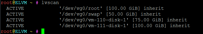 lvscan.PNG