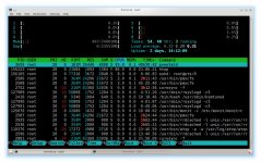pvestatd-htop-40h-fbc24.jpg