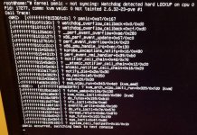 kernel panic.jpg