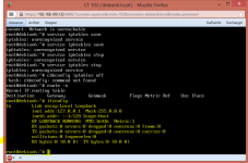 ifconfig.PNG
