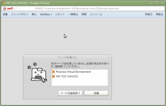 Screenshot-VM 102 ('mint32') - Google Chrome.png