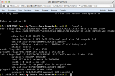 pfsenseifconfig.png