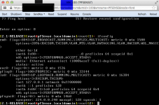 pfsenseifconfig.png