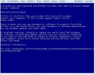 bsod_sbs2008.JPG
