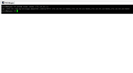 Remote-iSCSI-Portal-Scan-Result.png