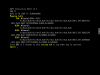 Screenshot_2020-05-06 QEMU (DirectAdmin) - noVNC.png