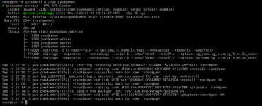 systemctl_status_pvedaemon.png