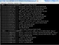 HP_CrashCapture.PNG HP_CrashCapture.PNG