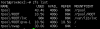 proxmox lxc on zfs raid1 part 2.png