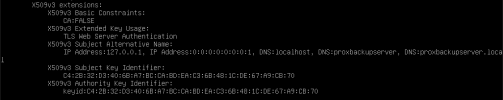Screenshot_2020-10-19 proxmox1 - Proxmox Virtual Environment.png