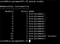 pvecm nodes.PNG