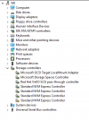 Device Manager Win2019.PNG
