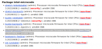 DebianBullseye Microcode.png