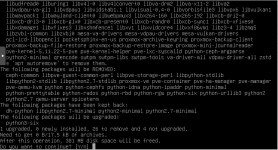 Debian Packages 2.PNG