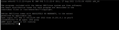 qemu_guest.png