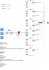 rede-proxmox-pfsense.drawio.png