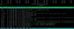 htop.jpg