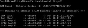 pfSense WAN-LAN_VLAN.jpg