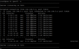 Screenshot 2022-08-01 at 16-43-50 pve - Proxmox Console.png