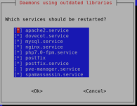 needrestart_on_host.png