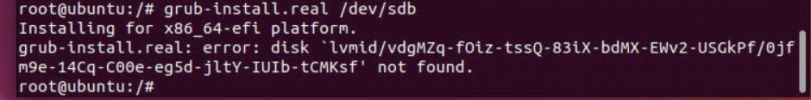 grub-install.real.png