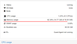 Memory usage of the VM from outside.png