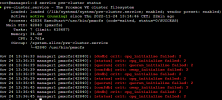 pve-cluster_status.PNG