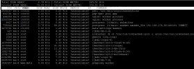 Proxmox io delay iotop screen.png