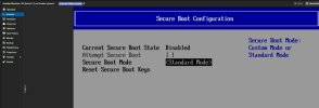 Secure Boot Options.jpeg