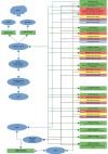 network_neu.png