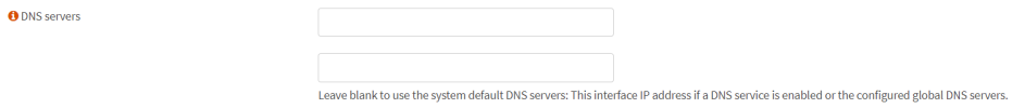 dns-opnsense.png