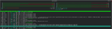 htop_sorted_09sept.png