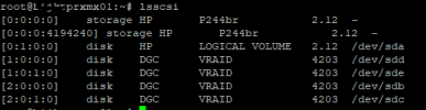 lsscsi node 1.png