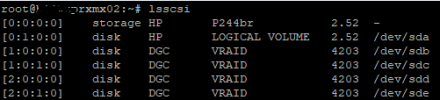 lsscsi node 2.png