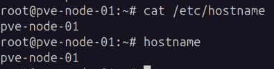 hostname.png