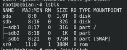 pic debian lsblk.JPG