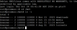 Proxmox Sonarr mount points 2024-10-23 173607.png