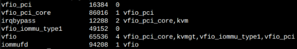lsmod|grep_vfio.png