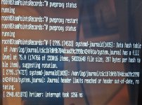 WhatsApp Image 2025-02-09 at 00.23.25_21e2dc69.jpg