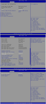 bios settings.png
