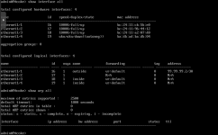 Screenshot 2025-05-07 at 2.39.28 PM.png