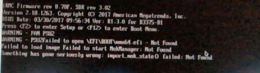 SOLVED] - Installation of PVE8.4 not working due to missing EFI