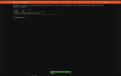 VM Install no Network.PNG VM Install no Network.PNG