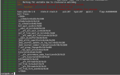 pdm_vm_dmesg.png