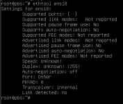 ethtoolAfterReboot.png