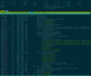 htop Screenshot 2025-08-20 111554.png