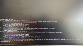 IMG_4021 (1).jpeg