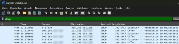 20250825_132534_dumpB_vmbr0.pcap.jpg
