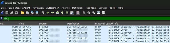 20250825_132555_dumpB_tap100i0.pcap.jpg