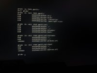 IMG_4208 Large.jpeg